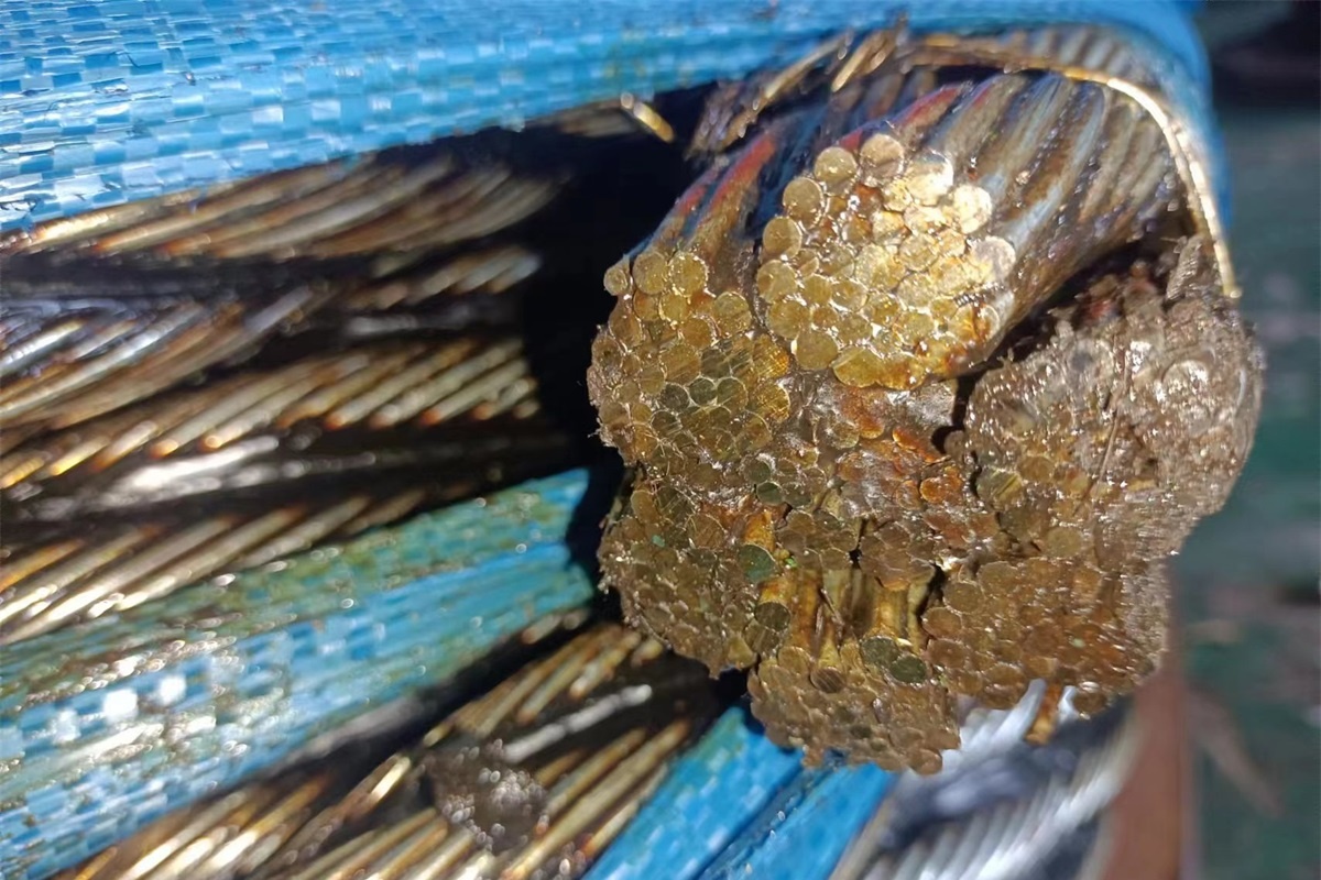 โครงสร้าง IWRC ของเชือกลวดเหล็ก - ตอนที่ 2